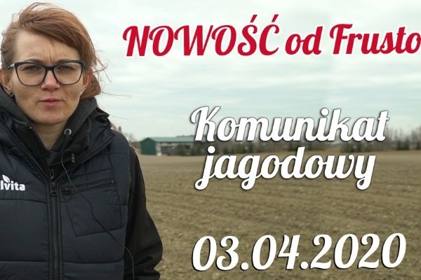 Komunikat jagodowy 03.04.2020 / lustracja malin, porzeczki, truskawki
